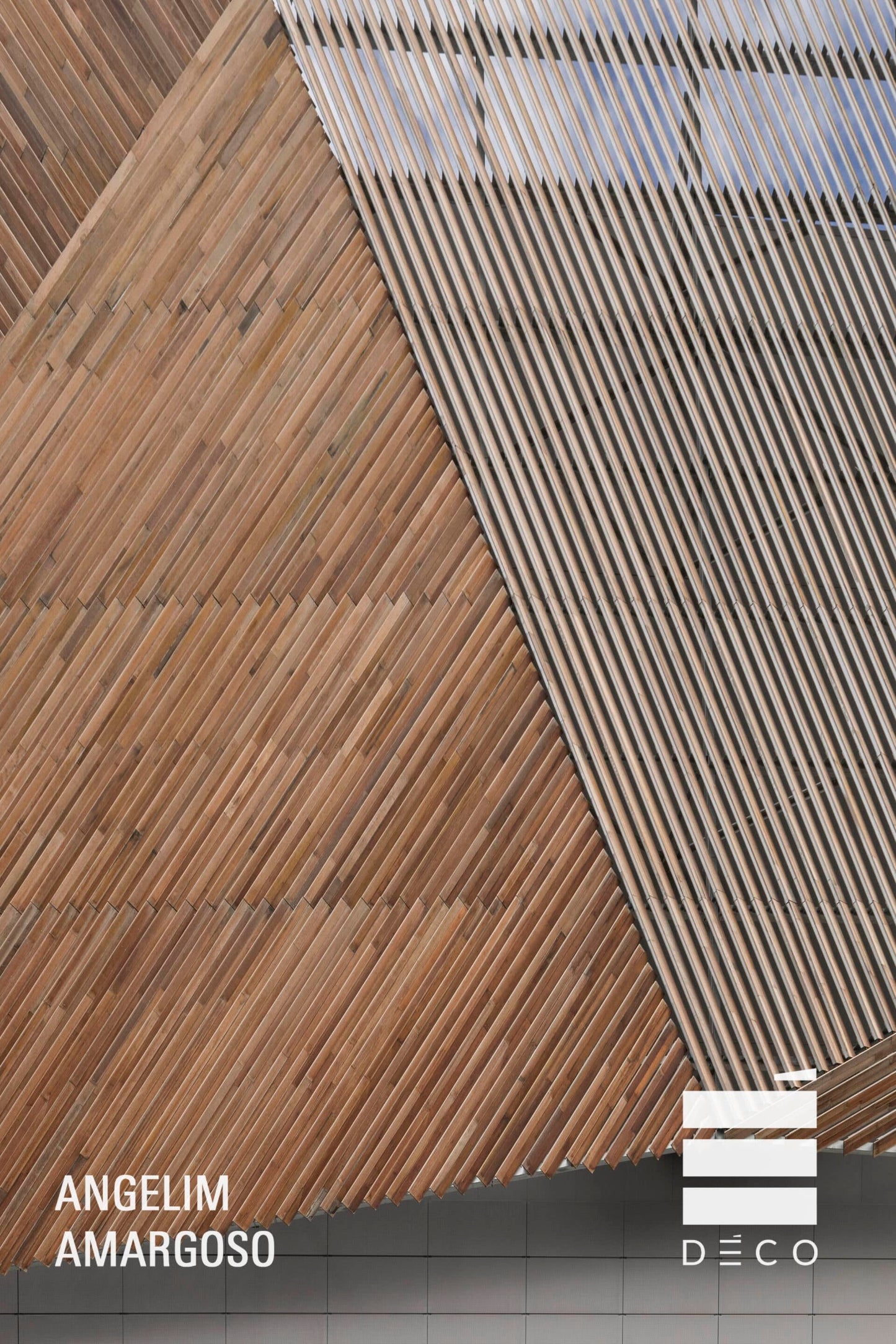 LEGNI NATURALI - ANGELIM AMARGOSO - Doga S - 19x90mm