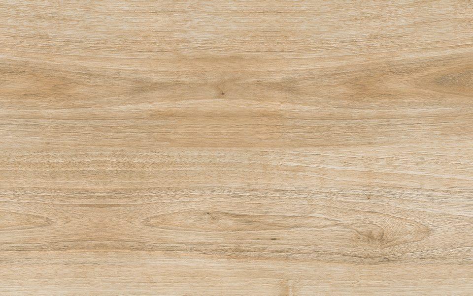 Gres spessorato WOOD HARENA HOLZ NOCE 20x120x1 cm