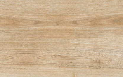 Gres spessorato WOOD HARENA HOLZ NOCE 20x120x1 cm
