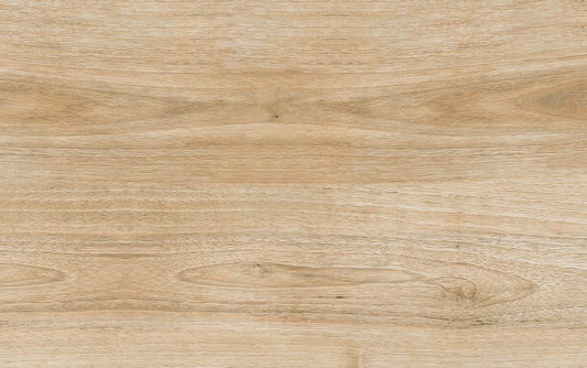 Gres spessorato WOOD HARENA HOLZ NOCE 20x120x1 cm