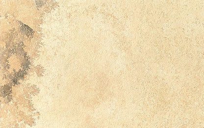 Gres spessorato MONVISO FOSSIL 60x90x2 cm - da pavimentazione e rivestimento