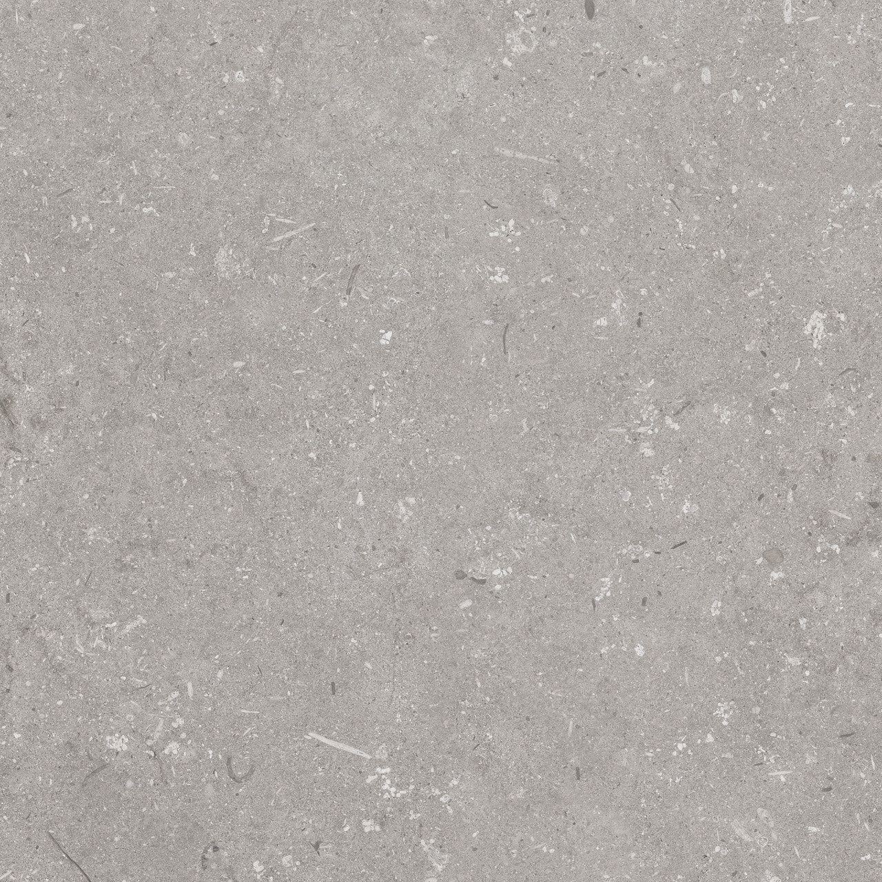 Gres spessorato ULTRA SHELLSTONE GRIGIO 60x60x2 cm