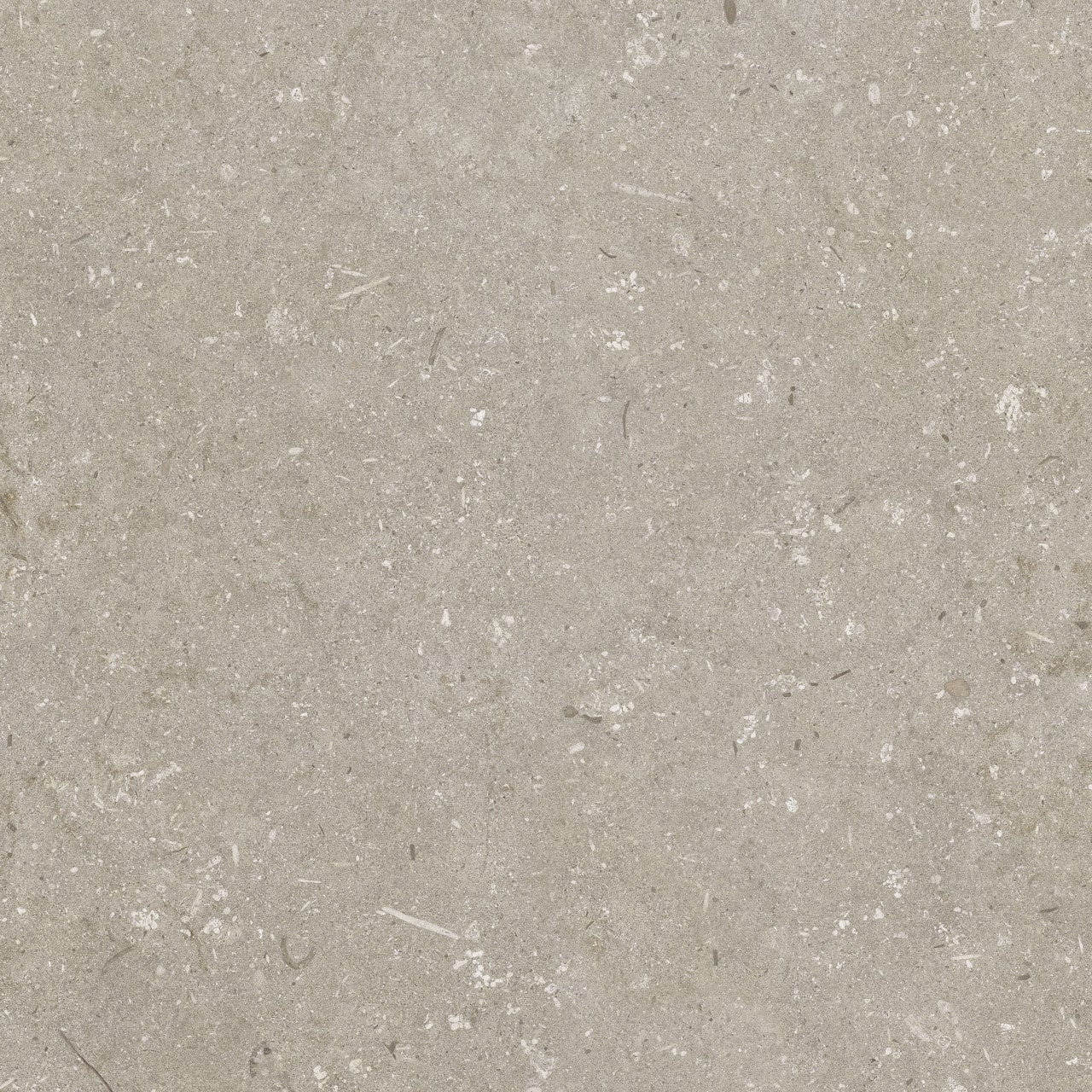 Gres spessorato ULTRA SHELLSTONE TAUPE 60x60x2 cm
